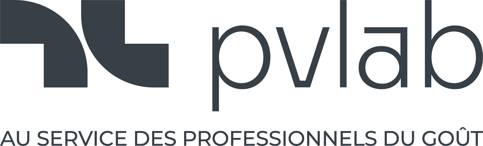 PVL_LOGO_SIGNATURE_GREY